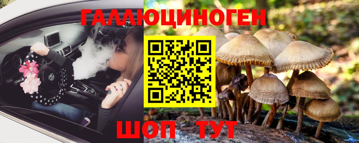 Галлюциногенные грибы Cubensis Заринск