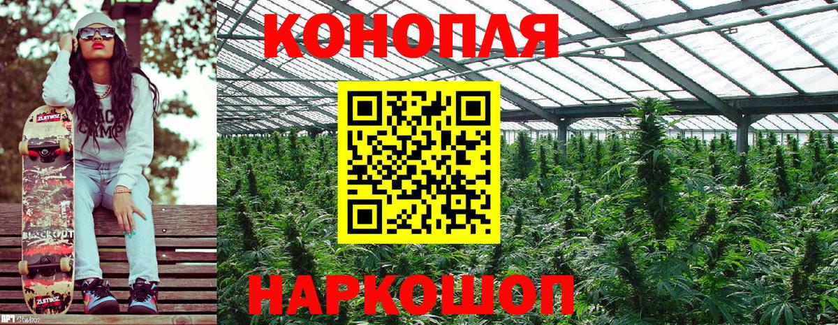 Шишки марихуана сатива  МАРИХУАНА THC 21%  Марихуана сатива  Вход с VPN  Заринск 
